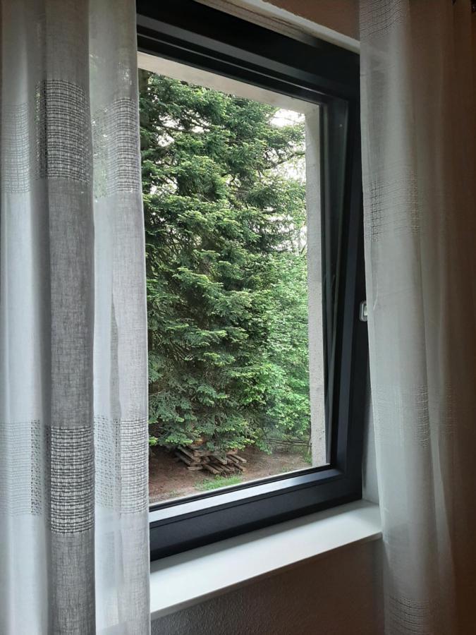 Waldurlaub Klingelborn Im Sauerland Appartement Balve Buitenkant foto